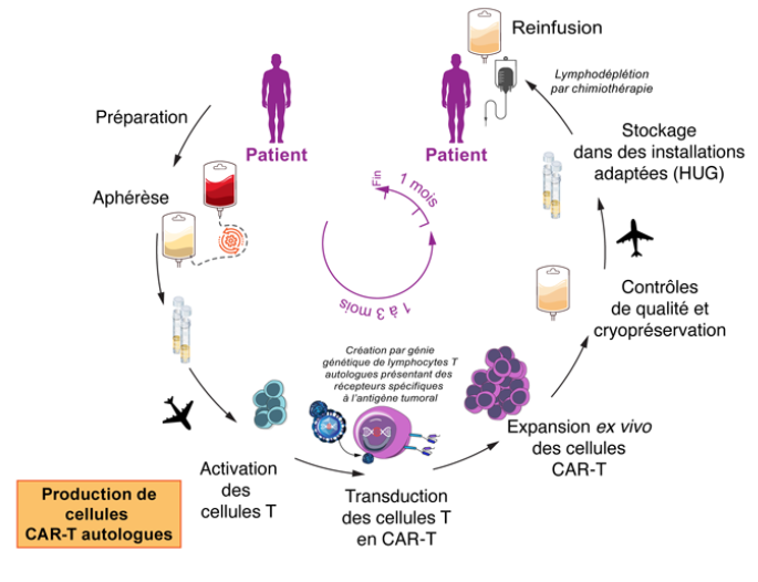 immunothérapie CAR-T cells 