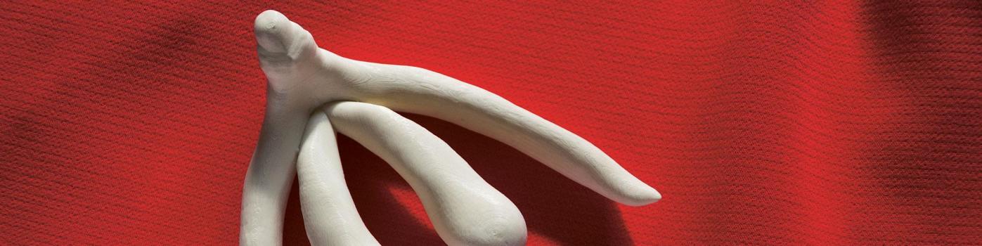 clitoris