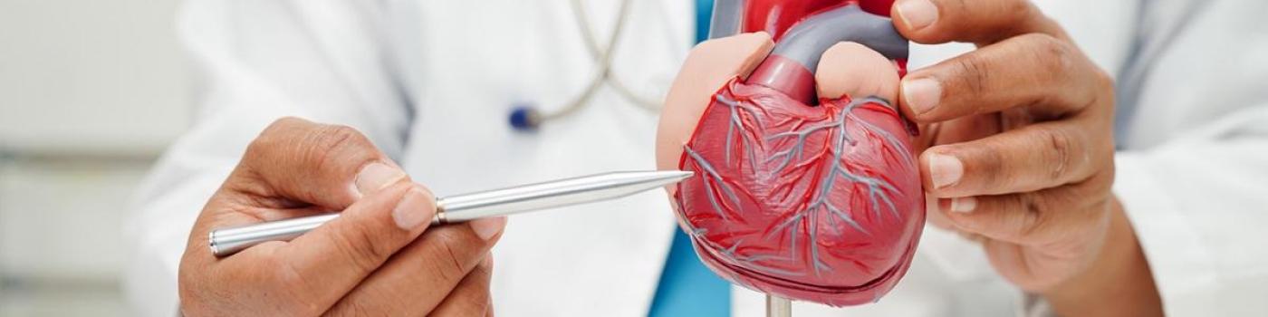 Les HUG à la pointe pour les cardiopathies congénitales