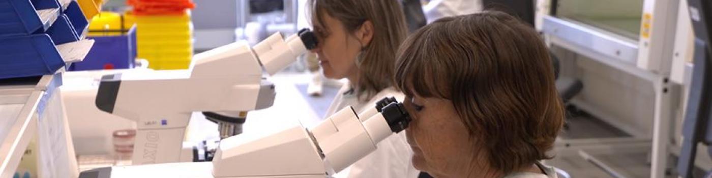 Nos microbiotes : ces bactéries aux espoirs thérapeutiques