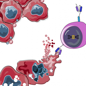 illsutration CAR-T cells