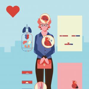 Infographie - Cœur vaisseaux cerveau