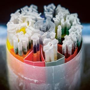 Embryons surnuméraires cryoconservés Embryons surnuméraires cryoconservés